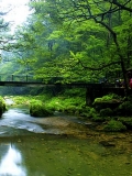 张家界最美风景－金鞭溪图片欣赏
