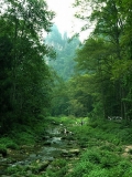 张家界国家森林公园金鞭溪早秋风光图片