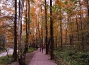 张家界国家森林公园晚秋风光图集