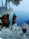 张家界旅游冬季雪景图片欣赏